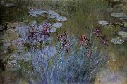 Claude Monet Irises and Water Lillies oil painting